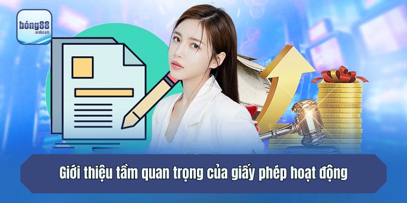Giới thiệu tầm quan trọng của giấy phép hoạt động