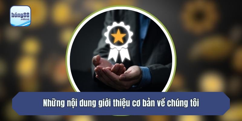 Những nội dung giới thiệu cơ bản về chúng tôi